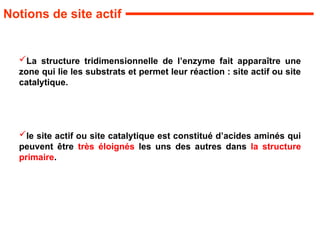 La structure tridimensionnelle de l’enzyme fait apparaître une
zone qui lie les substrats et permet leur réaction : site actif ou site
catalytique.
le site actif ou site catalytique est constitué d’acides aminés qui
peuvent être très éloignés les uns des autres dans la structure
primaire.
Notions de site actif
 