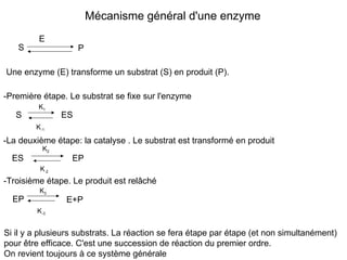 Mécanisme général d'une enzyme
S P
E
Une enzyme (E) transforme un substrat (S) en produit (P).
S ES
-Première étape. Le substrat se fixe sur l'enzyme
-La deuxième étape: la catalyse . Le substrat est transformé en produit
EP
ES
-Troisième étape. Le produit est relâché
EP E+P
K1
K-1
K2
K-2
K3
K-3
Si il y a plusieurs substrats. La réaction se fera étape par étape (et non simultanément)
pour être efficace. C'est une succession de réaction du premier ordre.
On revient toujours à ce système générale
 