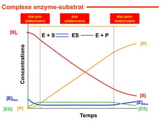 Temps
Concentrations
[S]
[P]
[E]libre
[ES]
état pré-
stationnaire
état
stationnaire
état post-
stationnaire
[S]0
[E]libre
[P]
[ES]
Complexe enzyme-substrat
E + S E + P
ES
 