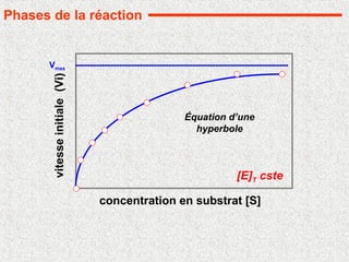 concentration en substrat [S]
vitesse
initiale
(Vi)
Vmax
[E]T cste
Équation d’une
hyperbole
Phases de la réaction
 