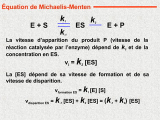 E + S E + P
ES
k1
k-1
k2
vi = k2 [ES]
La vitesse d’apparition du produit P (vitesse de la
réaction catalysée par l’enzyme) dépend de k2 et de la
concentration en ES.
La [ES] dépend de sa vitesse de formation et de sa
vitesse de disparition.
vformation ES = k1 [E] [S]
vdisparition ES = k-1 [ES] + k2 [ES] = (k-1 + k2) [ES]
Équation de Michaelis-Menten
 