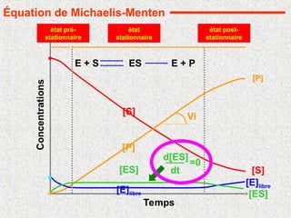 Temps
Concentrations
[S]
[P]
[E]libre
[ES]
état pré-
stationnaire
état
stationnaire
état post-
stationnaire
E + S E + P
ES
[S]
[P]
[E]libre
[ES]
d[ES]
dt
=0
Vi
Équation de Michaelis-Menten
 