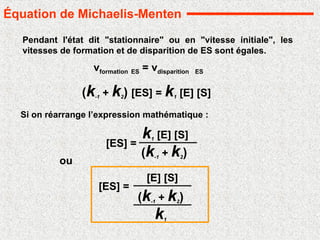 (k-1 + k2) [ES] = k1 [E] [S]
vformation ES = vdisparition ES
Pendant l'état dit "stationnaire" ou en "vitesse initiale", les
vitesses de formation et de disparition de ES sont égales.
Si on réarrange l’expression mathématique :
[ES] =
k1 [E] [S]
(k-1 + k2)
ou
[ES] =
[E] [S]
(k-1 + k2)
k1
Équation de Michaelis-Menten
 