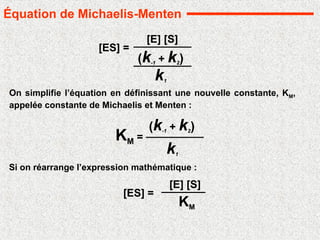 KM =
(k-1 + k2)
k1
On simplifie l’équation en définissant une nouvelle constante, KM,
appelée constante de Michaelis et Menten :
Si on réarrange l’expression mathématique :
[ES] =
[E] [S]
KM
Équation de Michaelis-Menten
[ES] =
[E] [S]
(k-1 + k2)
k1
 