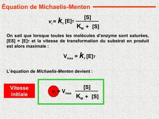 On sait que lorsque toutes les molécules d’enzyme sont saturées,
[ES] = [E]T et la vitesse de transformation du substrat en produit
est alors maximale :
Vmax = k2 [E]T
L’équation de Michaelis-Menten devient :
vi = Vmax
[S]
[S]
KM +
Vitesse
initiale
Équation de Michaelis-Menten
vi = k2
[E]T
[S]
[S]
KM +
 
