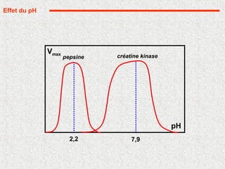 pepsine
2,2
créatine kinase
7,9
Effet du pH
pH
Vmax
 