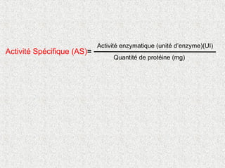 Activité Spécifique (AS)=
Activité enzymatique (unité d’enzyme)(UI)
Quantité de protéine (mg)
 