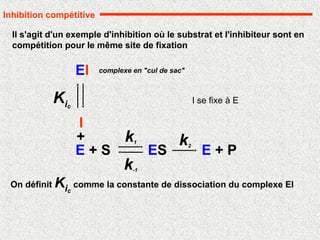 Inhibition compétitive
Il s'agit d'un exemple d'inhibition où le substrat et l'inhibiteur sont en
compétition pour le même site de fixation
On définit Kic
comme la constante de dissociation du complexe EI
k-1
E + P
ES
k1 k2
E + S
I
EI
+
Kic
complexe en "cul de sac"
I se fixe à E
 