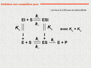 E + P
ES
k1
k-1
k2
E + S
I
EI + S
+
k1
k-1
ESI
I
+
Kiu
Kic avec Kic
= Kiu
Inhibition non compétitive pure
I se fixe à E et ES avec la même affinité
 