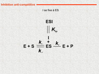 Inhibition anti-compétitive
E + P
ES
k1
k-1
k2
E + S
ESI
I
+
Kiu
I se fixe à ES
 