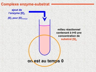 ajout de
l’enzyme [E]T
on est au temps 0
[E]T pour [E]TOTALE
milieu réactionnel
contenant à t=0 une
concentration de
substrat [S]0
Complexe enzyme-substrat
 
