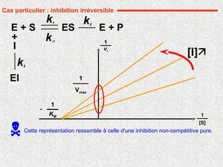 Cas particulier : inhibition irréversible
1
[S]
vi
1
[I]
1
Vmax
KM
1
-
E + P
ES
k1
k-1
k2
E + S
EI
I
+
k3
Cette représentation ressemble à celle d'une inhibition non-compétitive pure.
 