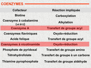 COENZYMES
Biotine Carboxylation
Coenzyme à cobalamine
(vit B12)
Alkylation
Coenzyme A Transfert de groupe acyl
Acide folique Transfert de groupe acyl
Coenzymes à nicotinamide Oxydo-réduction
Phosphate de pyridoxal Transfert de groupe amino
Cofacteur Réaction impliquée
Coenzymes flaviniques Oxydo-réduction
Tétrahydrofolate Transfert de groupe à un carbone
Thiamine pyrophosphate Transfert de groupe aldéhyde
 