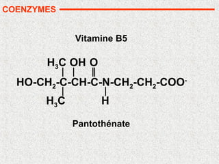 Pantothénate
HO-CH2-C-CH-C-N-CH2-CH2-COO-
H3C
H3C
OH O
H
COENZYMES
Vitamine B5
 