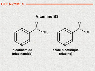 N
C
O
NH2
N
C
O
OH
nicotinamide
(niacinamide)
acide nicotinique
(niacine)
Vitamine B3
COENZYMES
 