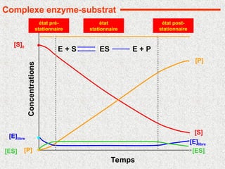 Temps
Concentrations
[S]
[P]
[E]libre
[ES]
état pré-
stationnaire
état
stationnaire
état post-
stationnaire
[S]0
[E]libre
[P]
[ES]
Complexe enzyme-substrat
E + S E + P
ES
 
