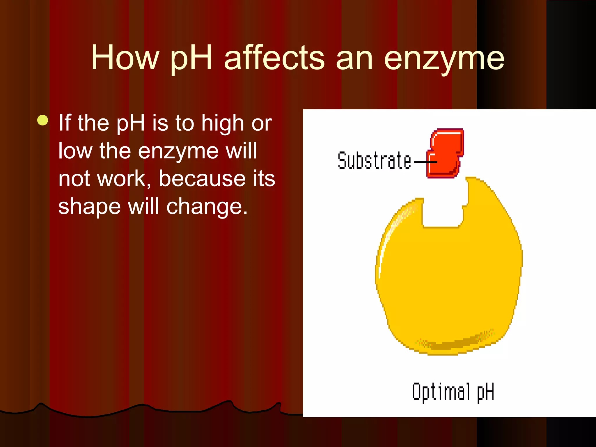 How pH affects an enzyme
 Ifthe pH is to high or
  low the enzyme will
  not work, because its
  shape will change.
 