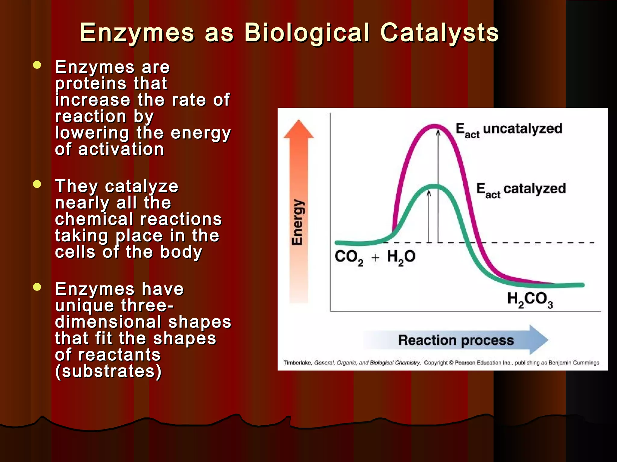 Enzymes as Biological Catalysts
   Enzymes are
    proteins that
    increase the rate of
    reaction by
    lowering the energy
    of activation

   They catalyze
    nearly all the
    chemical reactions
    taking place in the
    cells of the body

   Enzymes have
    unique three-
    dimensional shapes
    that fit the shapes
    of reactants
    (substrates)
 