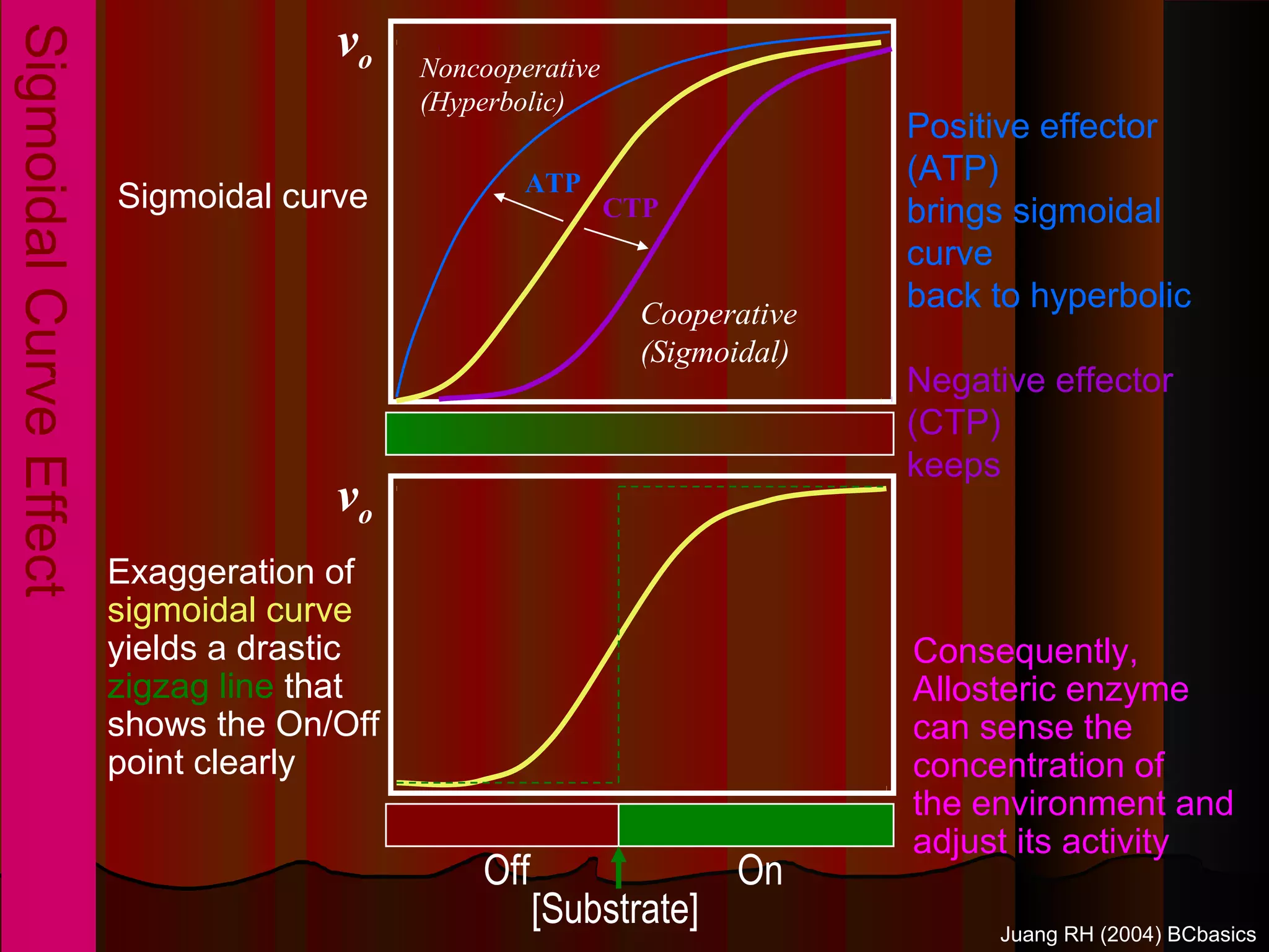 vo
Sigmoidal Curve Effect
                                            Noncooperative
                                            (Hyperbolic)
                                                                             Positive effector
                                                    ATP                      (ATP)
                         Sigmoidal curve                     CTP             brings sigmoidal
                                                                             curve
                                                               Cooperative
                                                                             back to hyperbolic
                                                               (Sigmoidal)
                                                                             Negative effector
                                                                             (CTP)
                                                                             keeps
                                      vo
                         Exaggeration of
                         sigmoidal curve
                         yields a drastic                                    Consequently,
                         zigzag line that                                    Allosteric enzyme
                         shows the On/Off                                    can sense the
                         point clearly                                       concentration of
                                                                             the environment and
                                                                             adjust its activity
                                                Off                  On
                                                      [Substrate]                 Juang RH (2004) BCbasics
 
