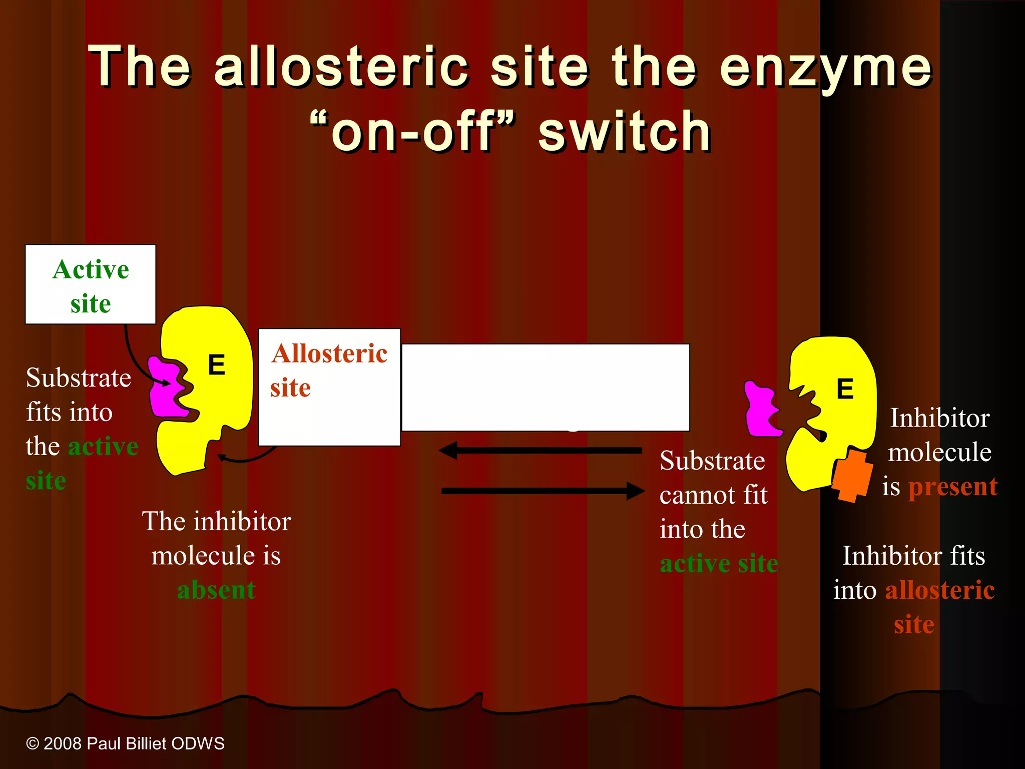 The allosteric site the enzyme
               “on-off” switch

   Active
    site

                     E     Allosteric
Substrate                  site empty   Conformational             E
fits into                                  change                       Inhibitor
the active                                                              molecule
                                                     Substrate
site                                                                   is present
                                                     cannot fit
             The inhibitor                           into the
              molecule is                            active site    Inhibitor fits
               absent                                              into allosteric
                                                                         site



© 2008 Paul Billiet ODWS
 