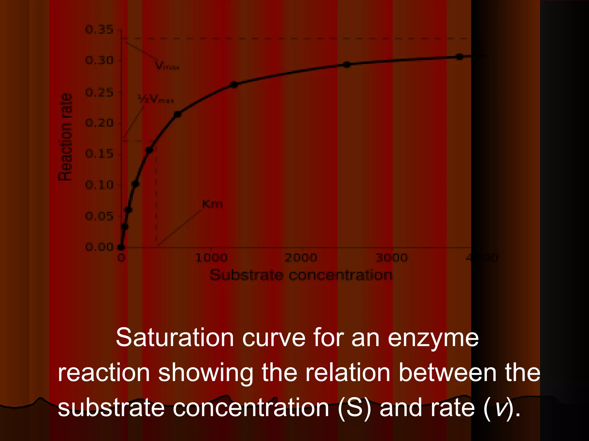 Saturation curve for an enzyme
reaction showing the relation between the
substrate concentration (S) and rate ( v).
 