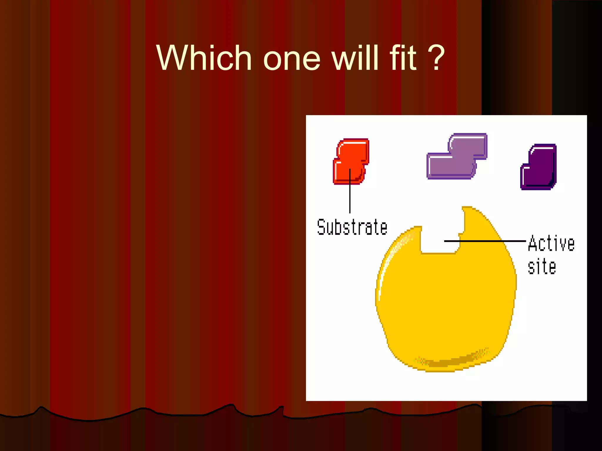 Which one will fit ?
 