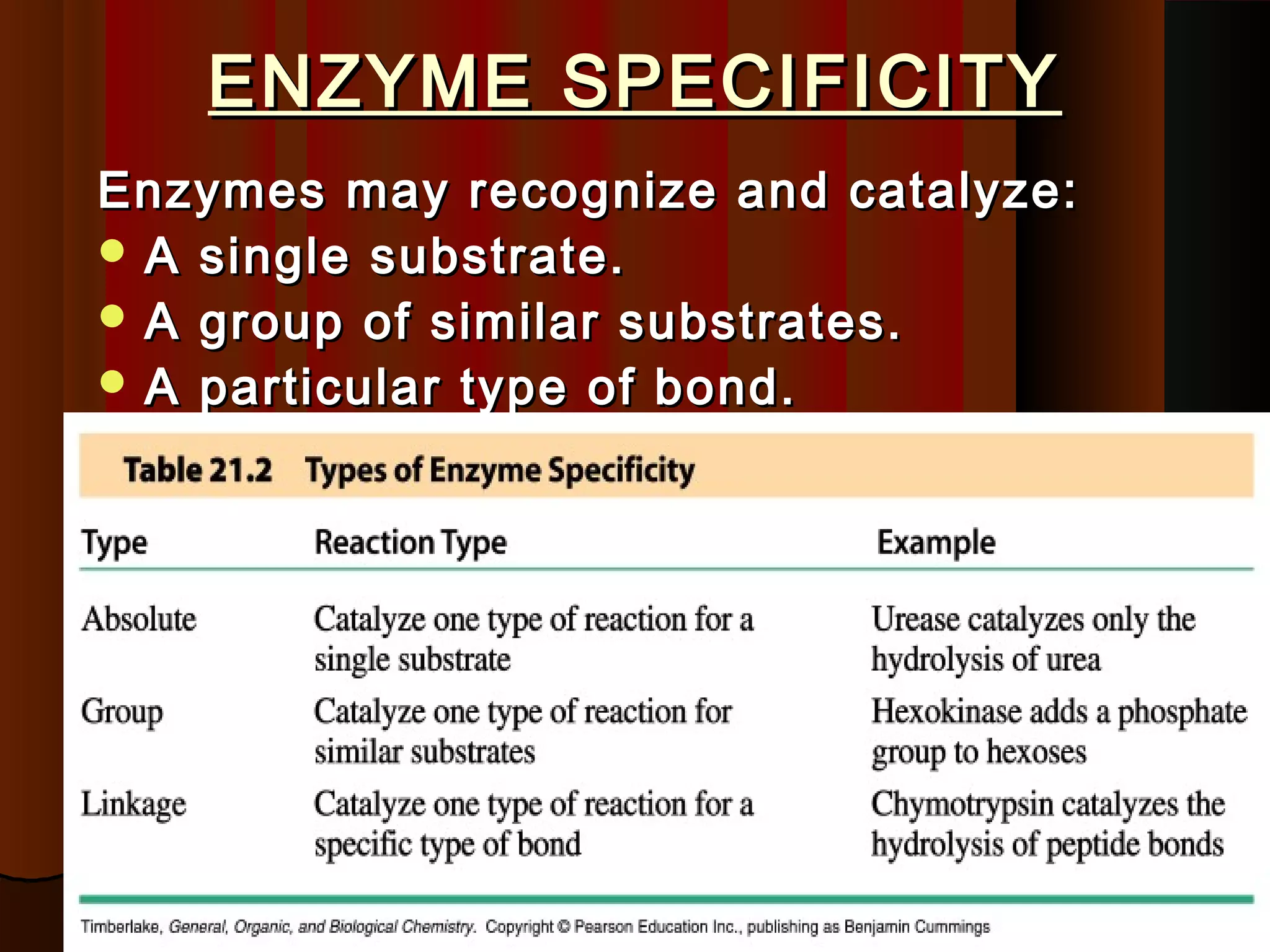 ENZYME SPECIFICITY
Enzymes may recognize and catalyze:
 A single substrate.
 A group of similar substrates.
 A particular type of bond.
 