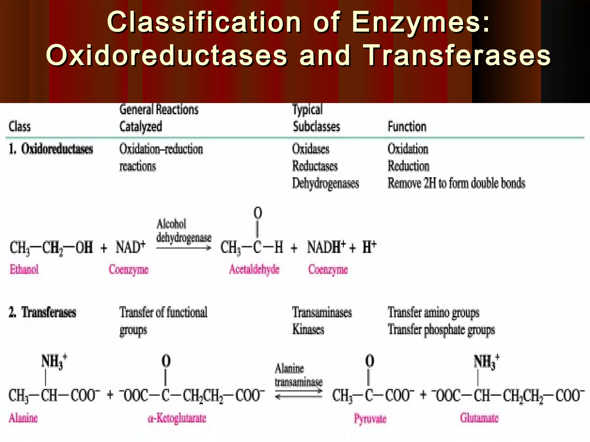 Classification of Enzymes:
Oxidoreductases and Transferases
 
