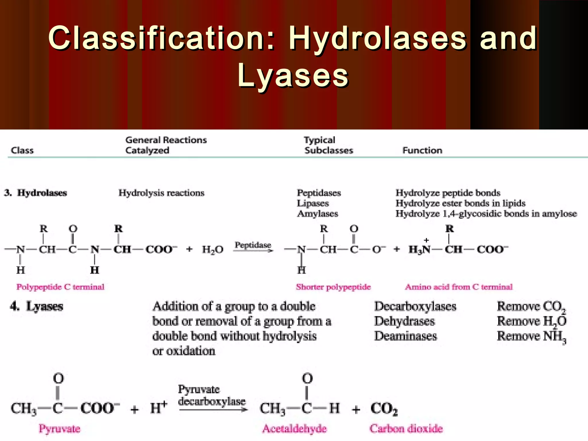 Classification: Hydrolases and
             Lyases
 