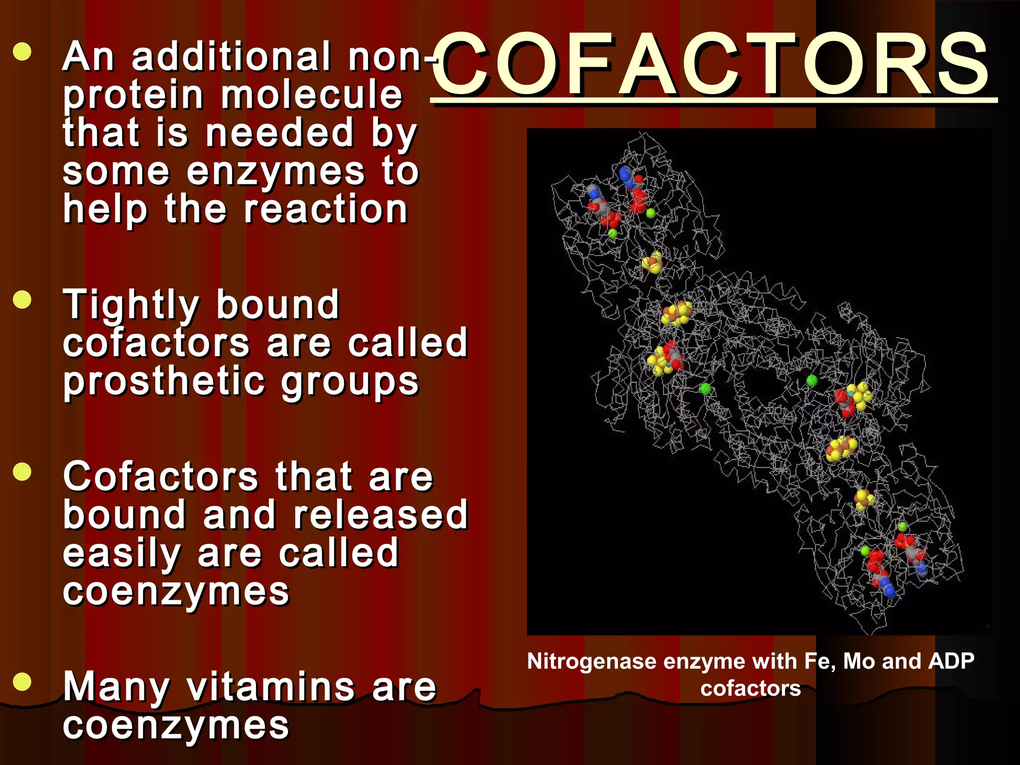    An additional non-
    protein molecule  COFACTORS
    that is needed by
    some enzymes to
    help the reaction

   Tightly bound
    cofactors are called
    prosthetic groups

   Cofactors that are
    bound and released
    easily are called
    coenzymes
                           Nitrogenase enzyme with Fe, Mo and ADP
   Many vitamins are                     cofactors
    coenzymes
 