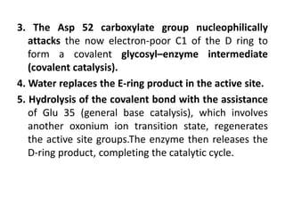 3. The Asp 52 carboxylate group nucleophilically 
attacks the now electron-poor C1 of the D ring to 
form a covalent glycosyl–enzyme intermediate 
(covalent catalysis). 
4. Water replaces the E-ring product in the active site. 
5. Hydrolysis of the covalent bond with the assistance 
of Glu 35 (general base catalysis), which involves 
another oxonium ion transition state, regenerates 
the active site groups.The enzyme then releases the 
D-ring product, completing the catalytic cycle. 
 