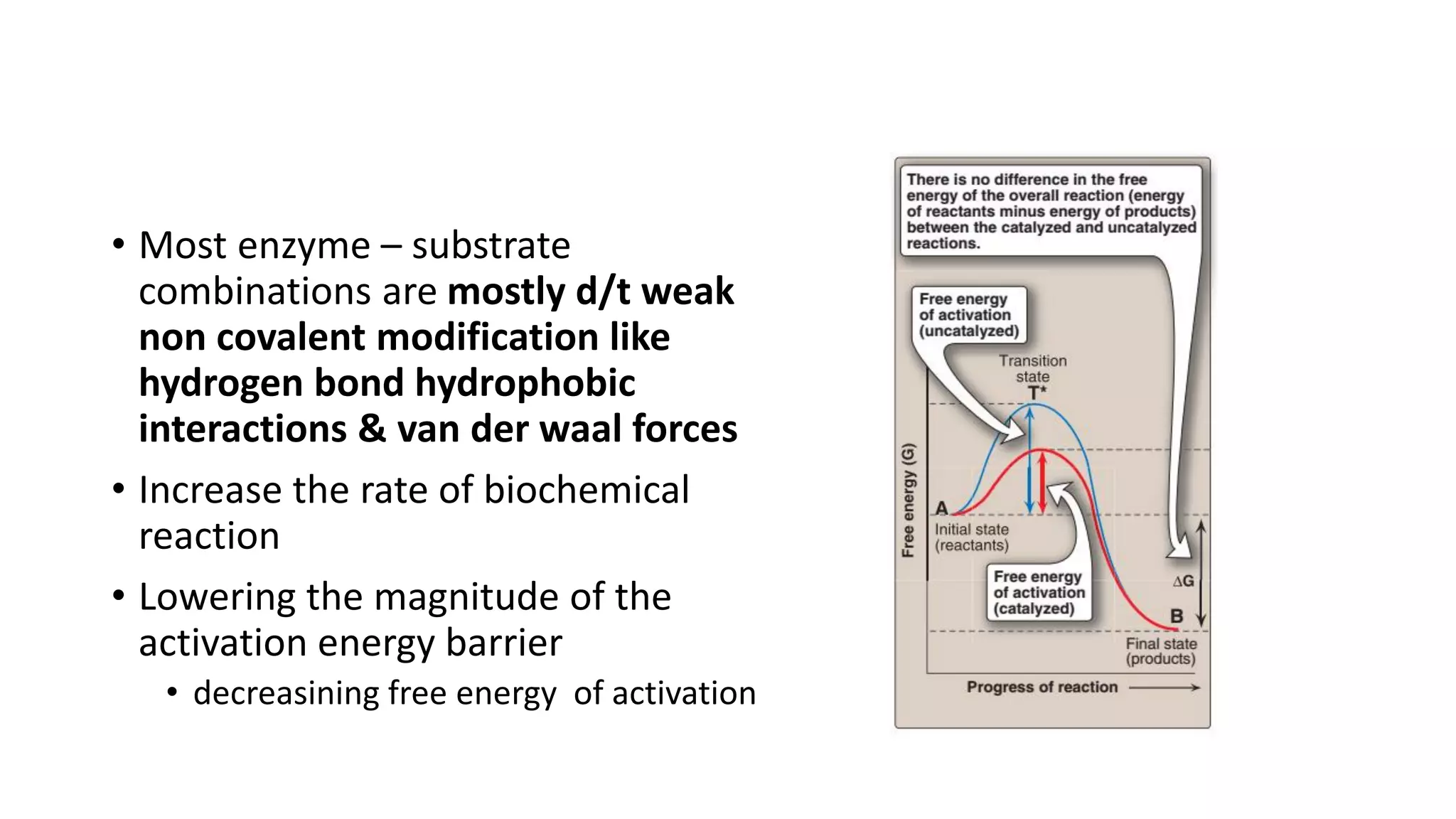 • Most enzyme – substrate
combinations are mostly d/t weak
non covalent modification like
hydrogen bond hydrophobic
interactions & van der waal forces
• Increase the rate of biochemical
reaction
• Lowering the magnitude of the
activation energy barrier
• decreasining free energy of activation
 