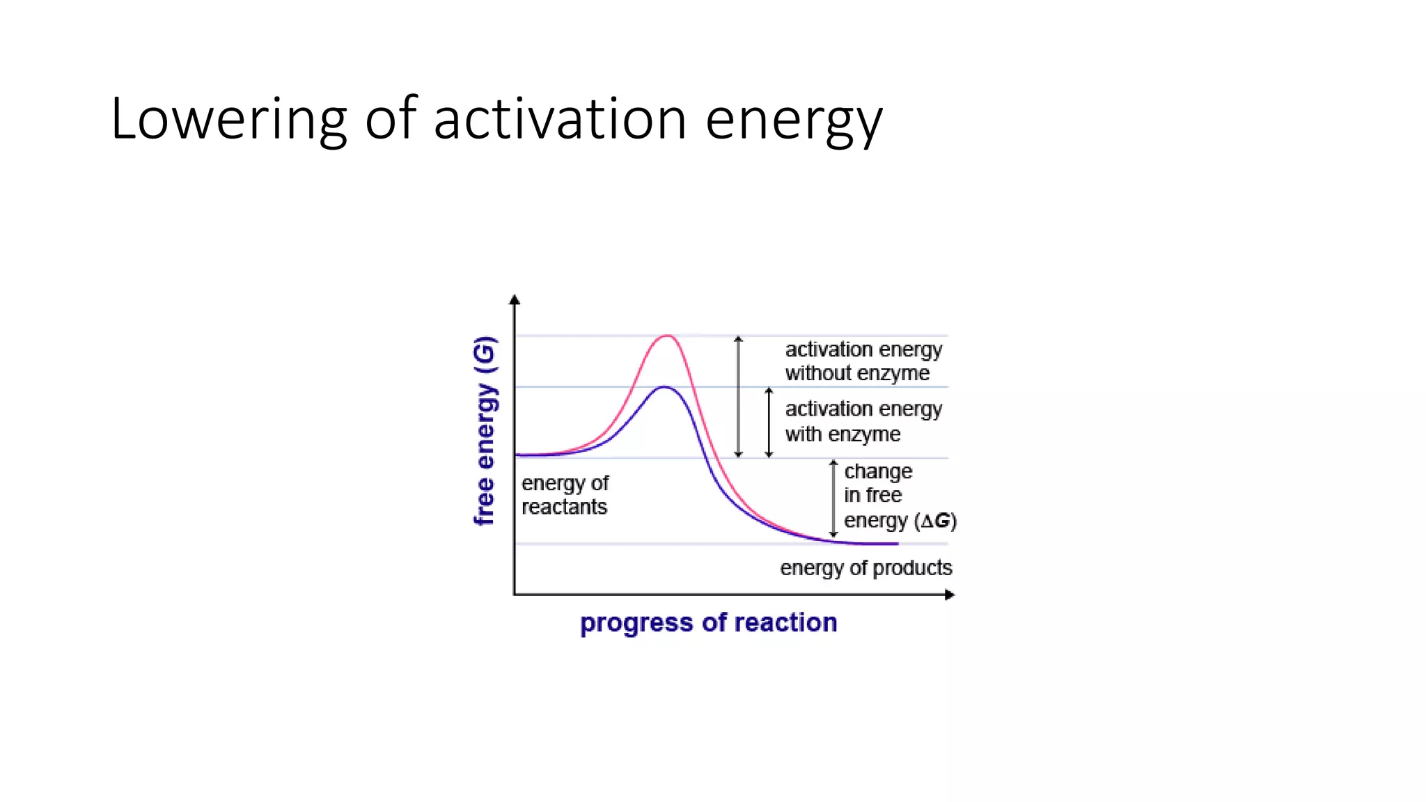 Lowering of activation energy
 