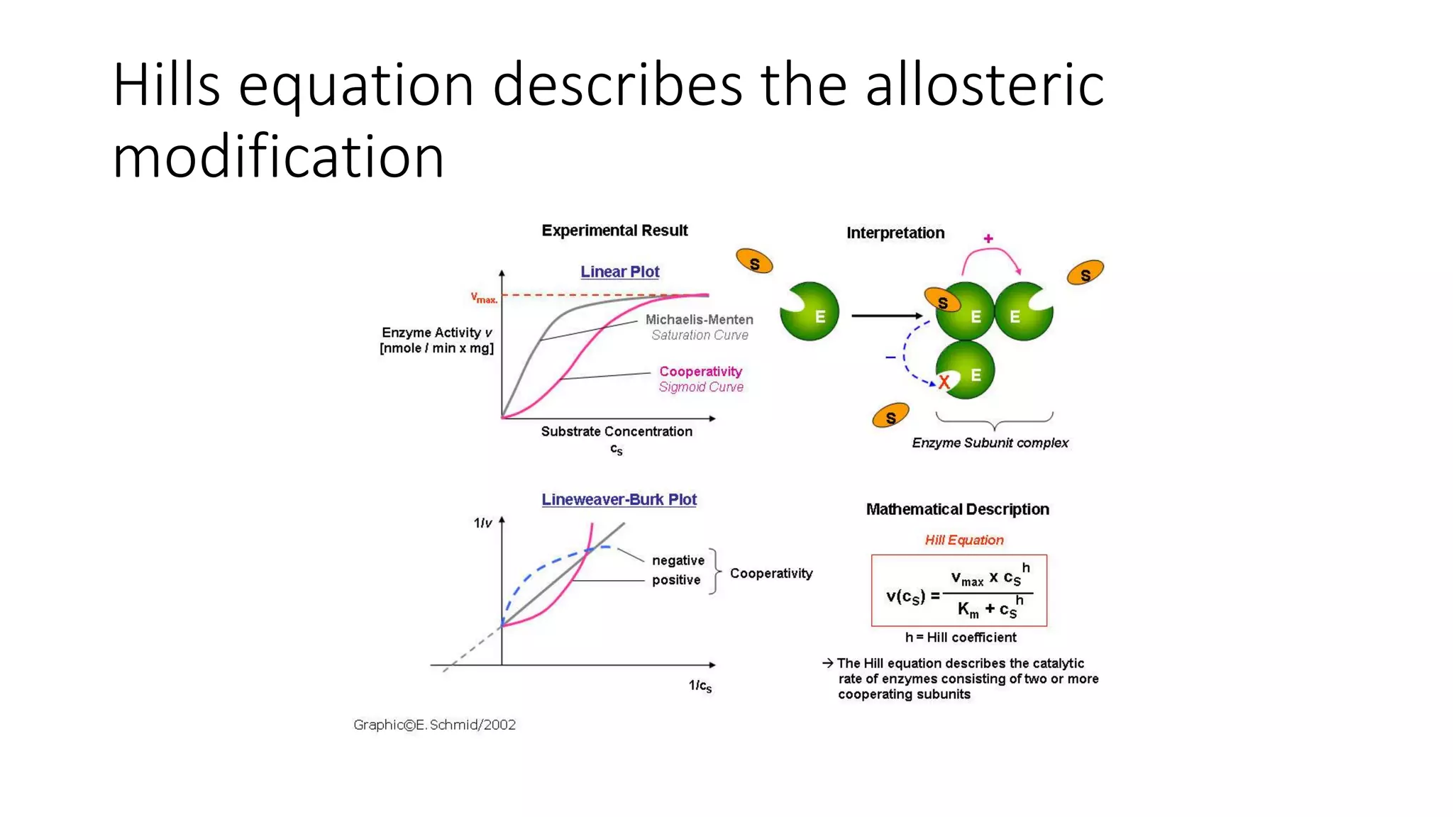Hills equation describes the allosteric
modification
 