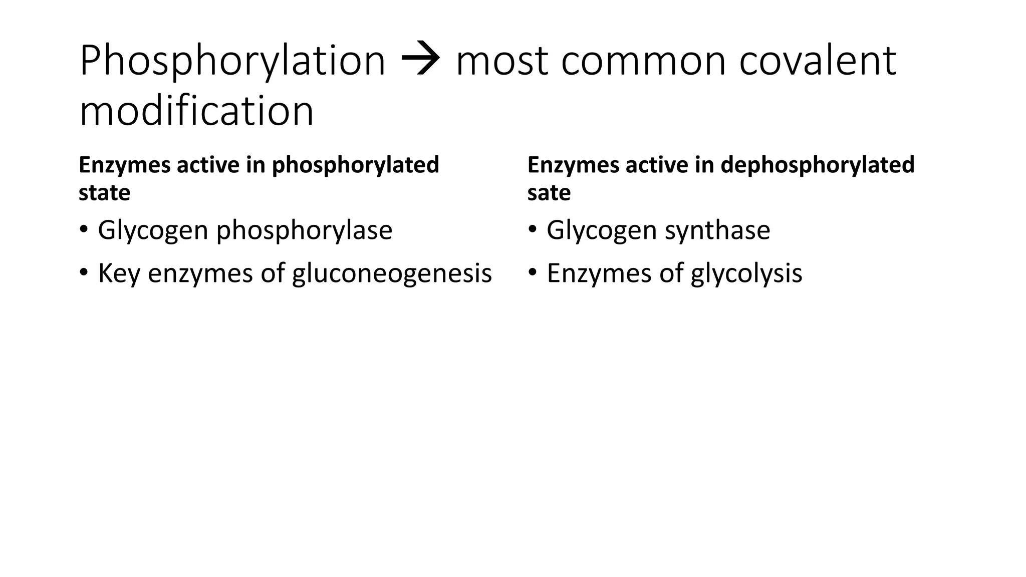 Phosphorylation  most common covalent
modification
Enzymes active in phosphorylated
state
• Glycogen phosphorylase
• Key enzymes of gluconeogenesis
Enzymes active in dephosphorylated
sate
• Glycogen synthase
• Enzymes of glycolysis
 