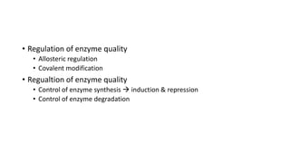 Enzymology BIOCHEMISTRY REVISION NOTES | PDF