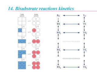 14. Bisubstrate reactions kinetics
 