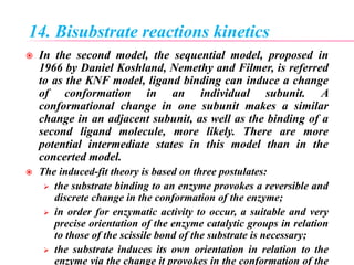 14. Bisubstrate reactions kinetics
 In the second model, the sequential model, proposed in
1966 by Daniel Koshland, Nemethy and Filmer, is referred
to as the KNF model, ligand binding can induce a change
of conformation in an individual subunit. A
conformational change in one subunit makes a similar
change in an adjacent subunit, as well as the binding of a
second ligand molecule, more likely. There are more
potential intermediate states in this model than in the
concerted model.
 The induced-fit theory is based on three postulates:
 the substrate binding to an enzyme provokes a reversible and
discrete change in the conformation of the enzyme;
 in order for enzymatic activity to occur, a suitable and very
precise orientation of the enzyme catalytic groups in relation
to those of the scissile bond of the substrate is necessary;
 the substrate induces its own orientation in relation to the
enzyme via the change it provokes in the conformation of the
 