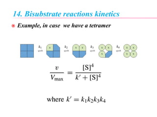 14. Bisubstrate reactions kinetics
 Example, in case we have a tetramer
 