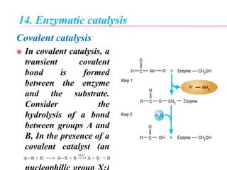 14. Enzymatic catalysis
Covalent catalysis
 In covalent catalysis, a
transient covalent
bond is formed
between the enzyme
and the substrate.
Consider the
hydrolysis of a bond
between groups A and
B, In the presence of a
covalent catalyst (an
enzyme with a
 