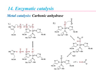 14. Enzymatic catalysis
Metal catalysis: Carbonic anhydrase
 