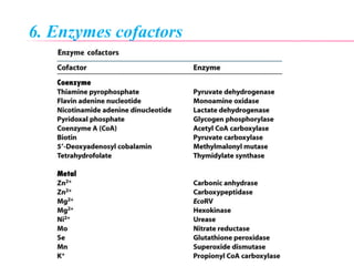 6. Enzymes cofactors
 