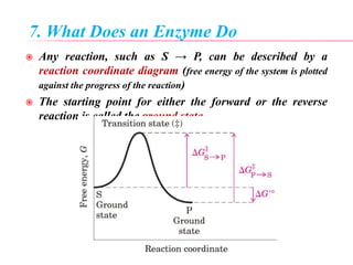 7. What Does an Enzyme Do
 Any reaction, such as S → P, can be described by a
reaction coordinate diagram (free energy of the system is plotted
against the progress of the reaction)
 The starting point for either the forward or the reverse
reaction is called the ground state
 
