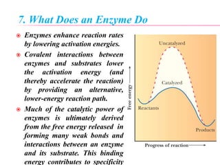7. What Does an Enzyme Do
 Enzymes enhance reaction rates
by lowering activation energies.
 Covalent interactions between
enzymes and substrates lower
the activation energy (and
thereby accelerate the reaction)
by providing an alternative,
lower-energy reaction path.
 Much of the catalytic power of
enzymes is ultimately derived
from the free energy released in
forming many weak bonds and
interactions between an enzyme
and its substrate. This binding
energy contributes to specificity
 
