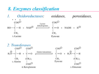 8. Enzymes classification
1. Oxidoreductases: oxidases, peroxidases,
dehydrogenases
2. Transferases
 