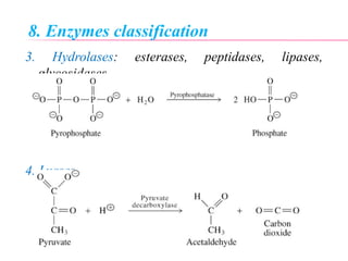 8. Enzymes classification
3. Hydrolases: esterases, peptidases, lipases,
glycosidases
4. Lyases
 
