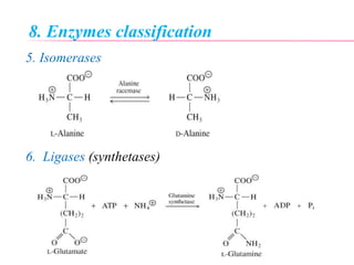 8. Enzymes classification
5. Isomerases
6. Ligases (synthetases)
 
