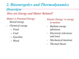 2. Bioenergetics and Thermodynamics
Overview
Matter is Potential Energy:
Stored energy
• Chemical energy
 Food
 Coal
 Gasoline
 Wood
Kinetic Energy: is energy
in motion
• Radiant energy
(photons)
• Electricity (electrons
and ions)
• Mechanical (motion)
• Thermal (heat)
How are Energy and Matter Related?
 