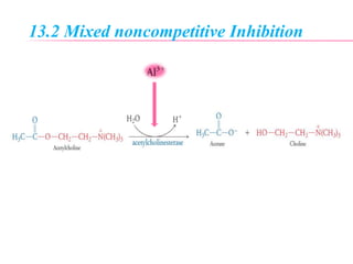 13.2 Mixed noncompetitive Inhibition
 