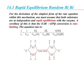 14.1 Rapid Equilibrium Random Bi Bi
For the derivation of the simplest form of the rate equation
within this mechanism, one must assume that both substrates
are at independent and rapid equilibrium with the enzyme. A
corollary of this is that the EAB →EPQ conversion is rate-
limiting. The equation rate is:
 